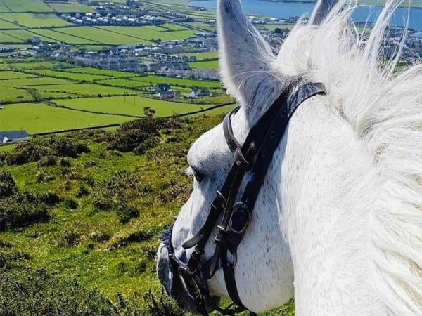 Dingle Horse Riding 6