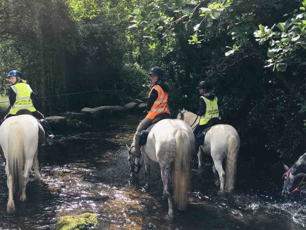 Dingle Horse Riding 9
