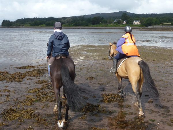 Dromquinna Stables 10