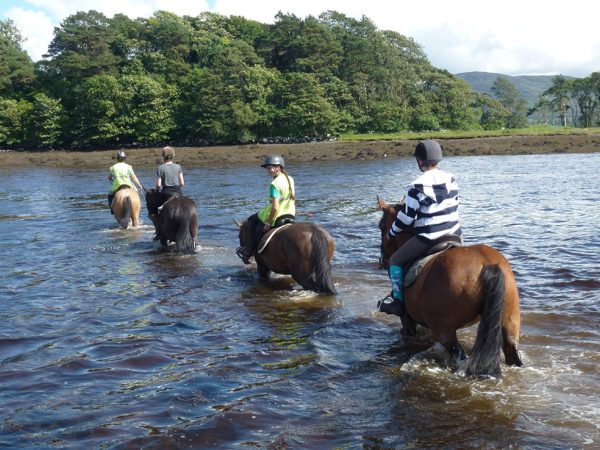 Dromquinna Stables 11