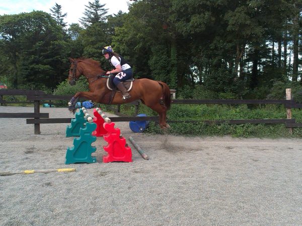Dromquinna Stables 2