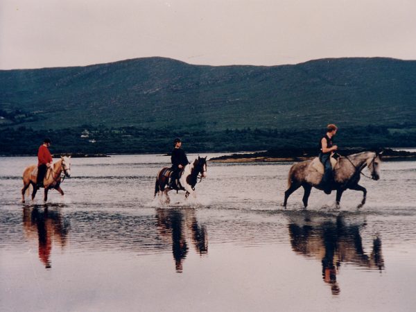 Dromquinna Stables 3