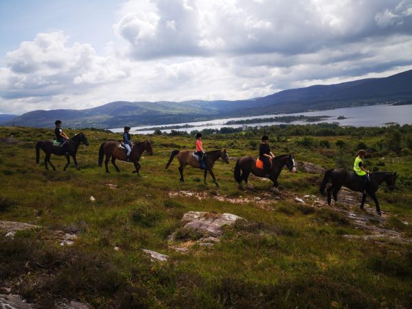 Dromquinna Stables 5