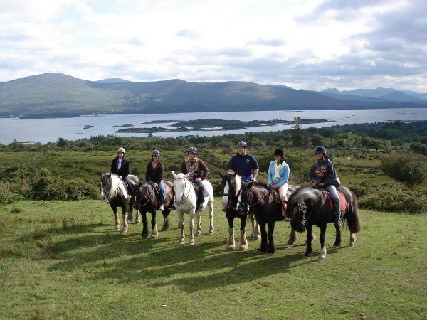 Dromquinna Stables 7