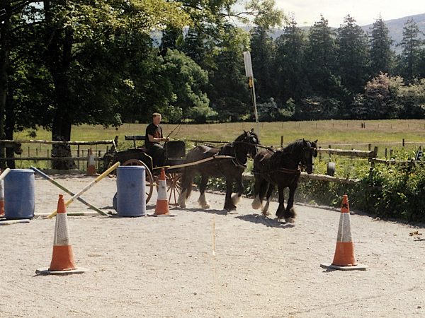 Dromquinna Stables 9