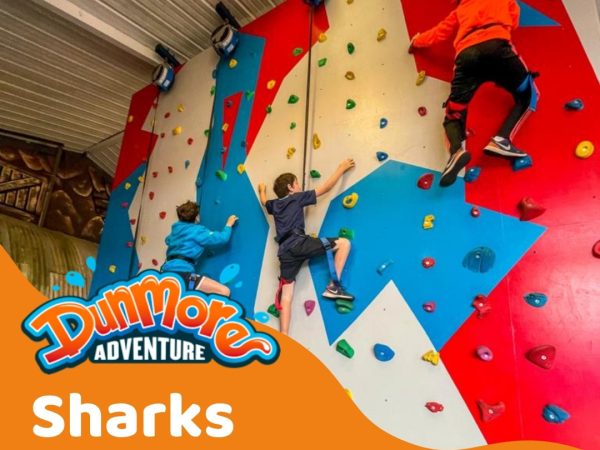Dunmore Adventure 4