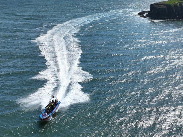 Dunmore Sea safaris 3