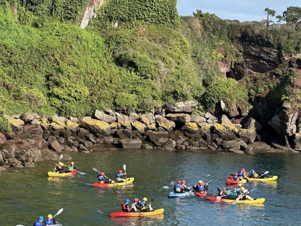 Dunmore Sea safaris 4