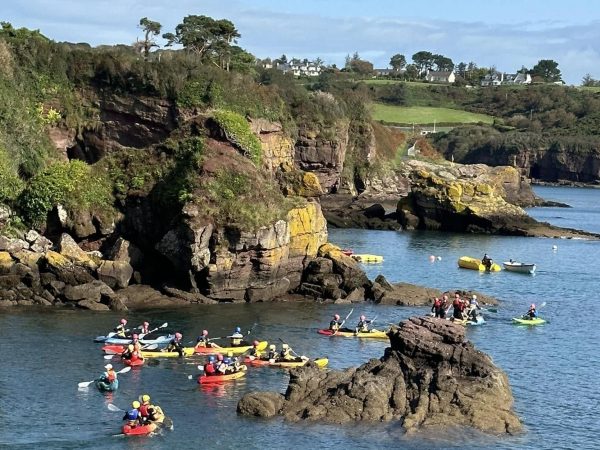 Dunmore Sea safaris 5