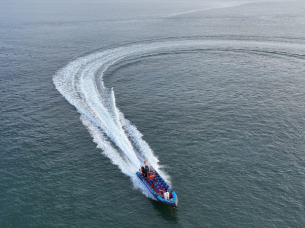Dunmore Sea safaris 8
