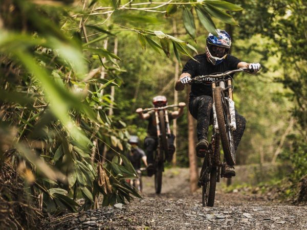 Dyfi Bike Park 1