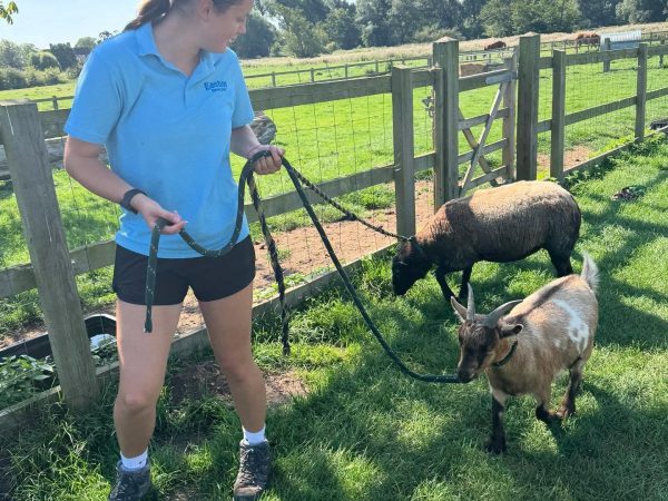 Easton Farm Park 8