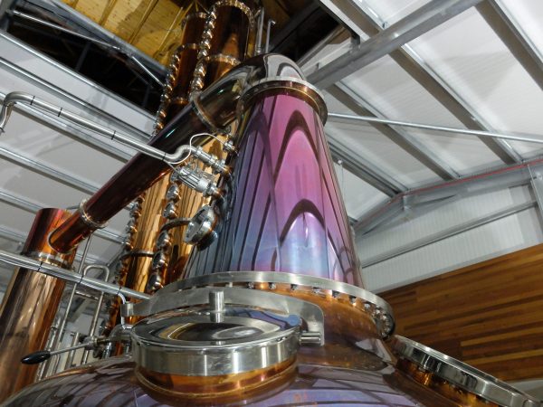 Echlinville Distillery 6