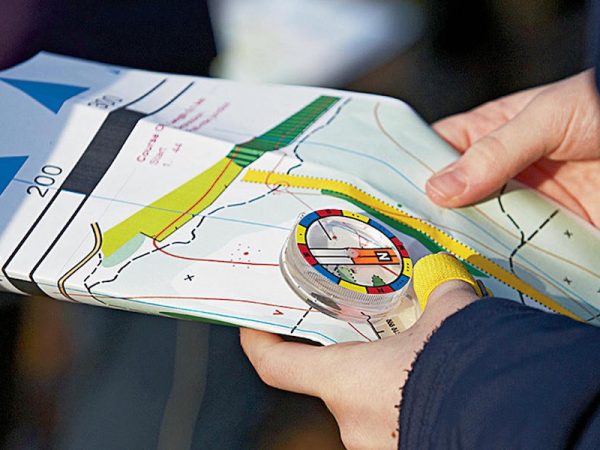 Eile Mental Activity Park7