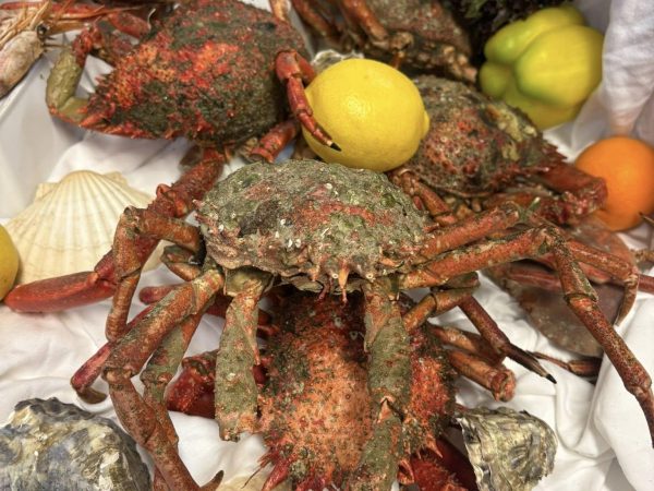 Esquire Raglan Road 11