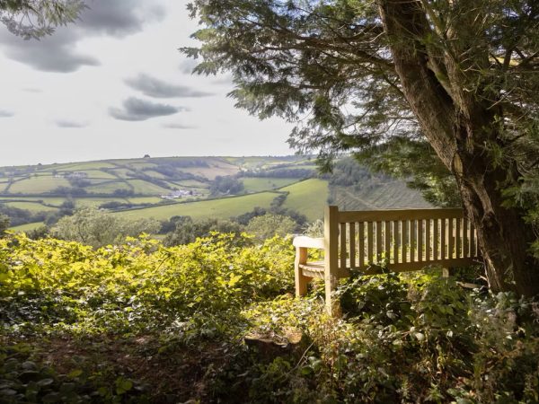 Felinfach Cottages 6