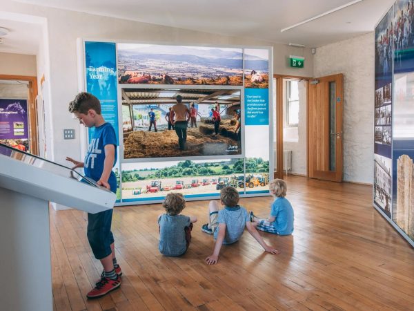 Fethard Horse Country Experience 1