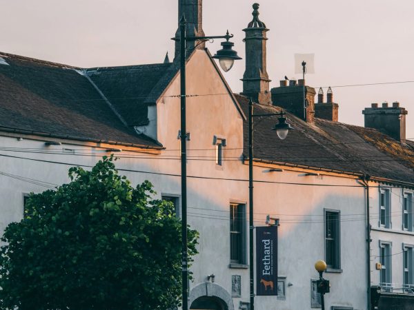 Fethard Horse Country Experience 3