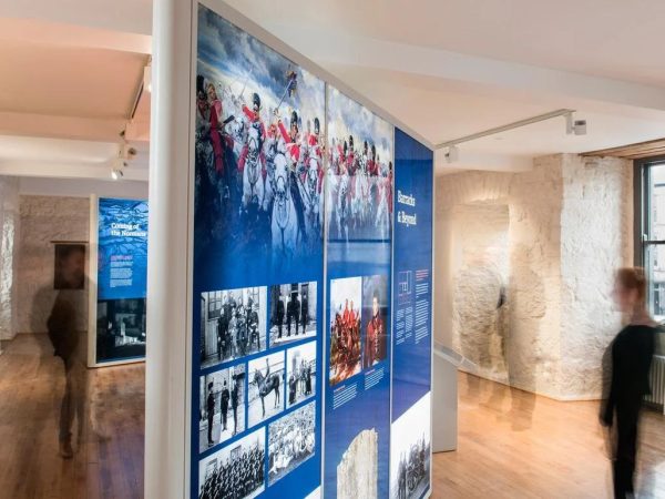 Fethard Horse Country Experience 4