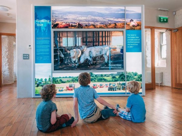 Fethard Horse Country Experience 7