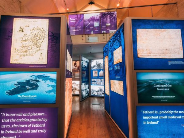 Fethard Horse Country Experience 8