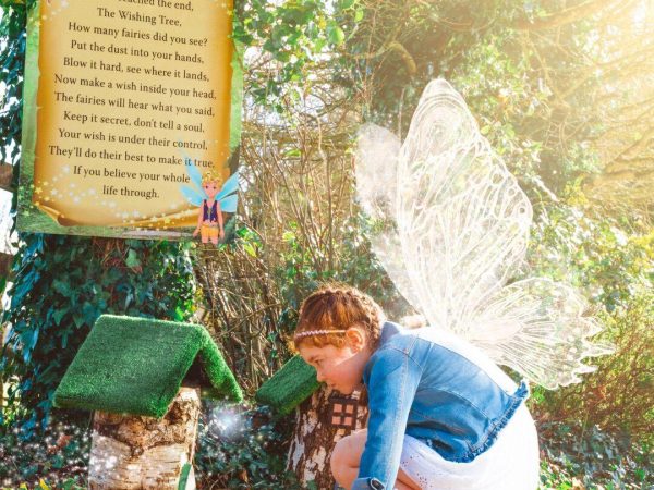 Fitzgeralds Woodlands House Hotel 10