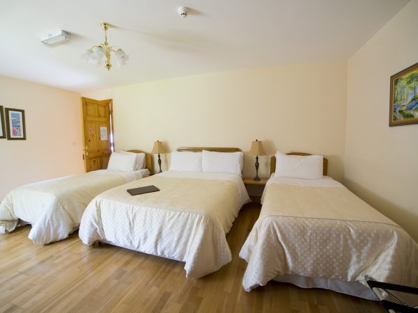 Forest Park House 16