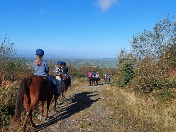 Fossey Mountain Springs Mountain Ranch 4