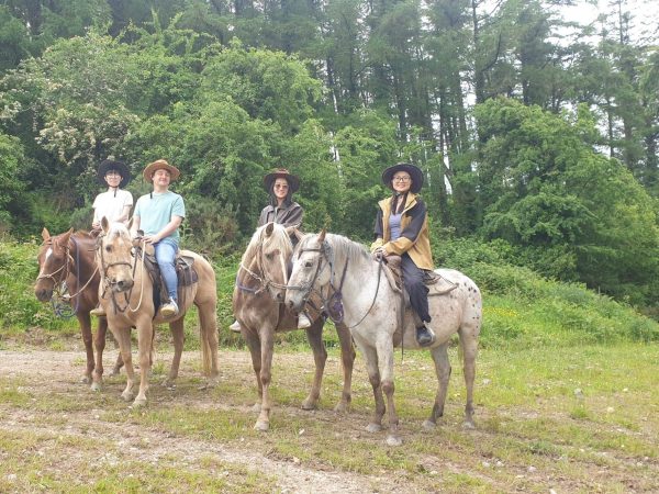 Fossey Mountain Springs Mountain Ranch 7