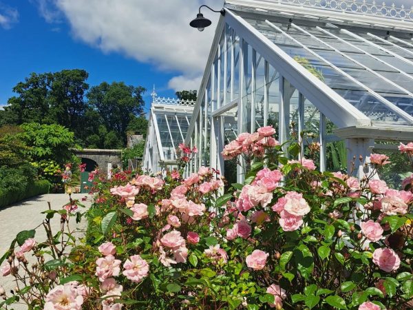 Fota House Irish Heritage Trust 11
