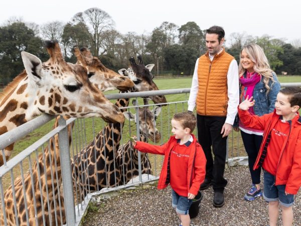 Fota Wildlife Park 10