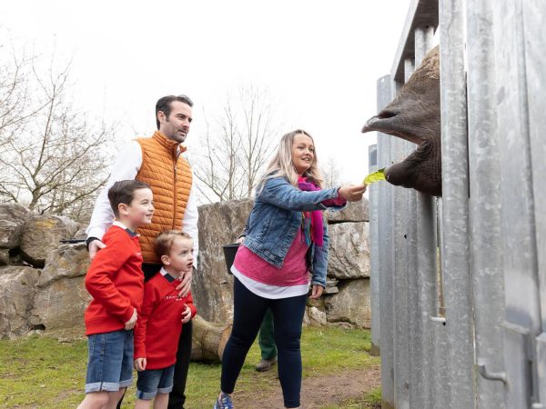 Fota Wildlife Park 4