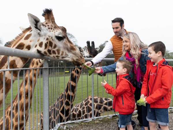 Fota Wildlife Park 5