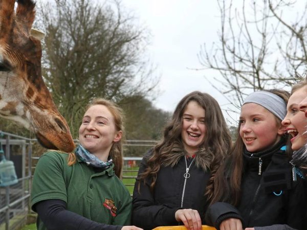 Fota Wildlife Park 8