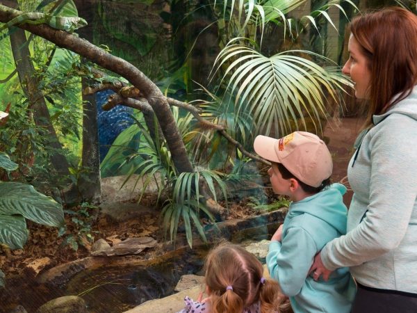 Fota Wildlife Park 9