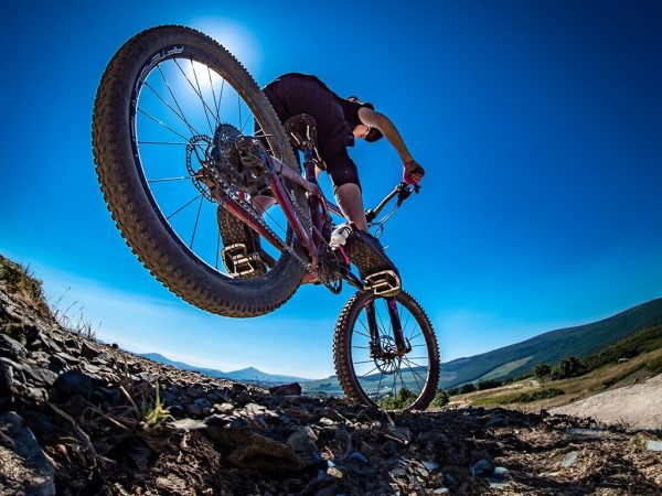 Gap Glencullen Adventure Park 1