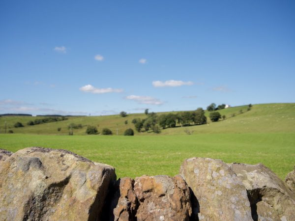 Hadrians Holiday Lodges 2