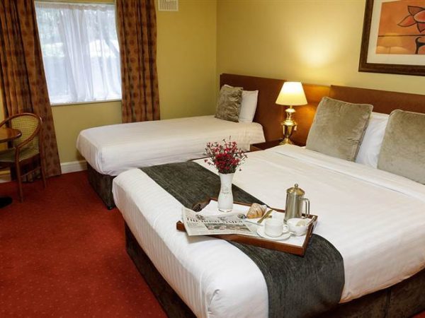 Hamlet Court Hotel 2