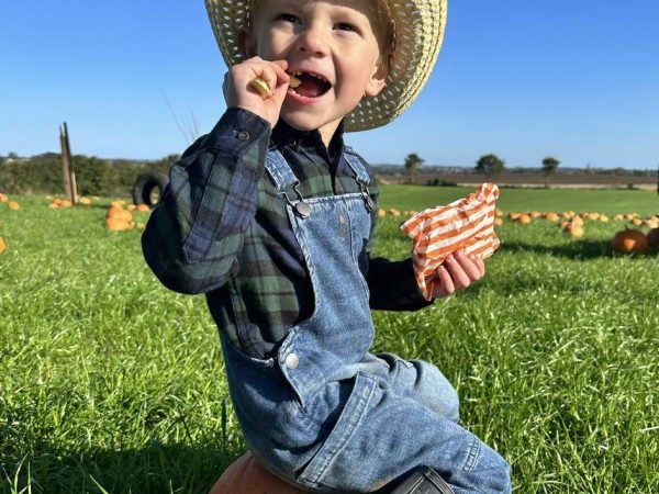 Horncastle Farm Experiences 10