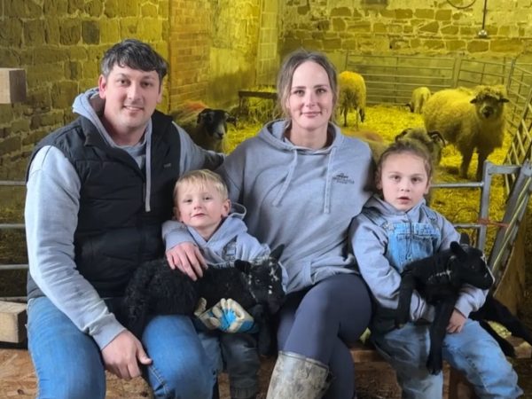 Horncastle Farm Experiences 2