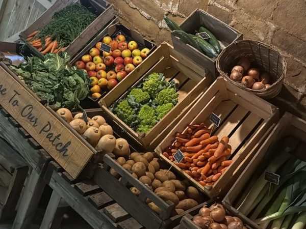 Horncastle Farm Experiences 6