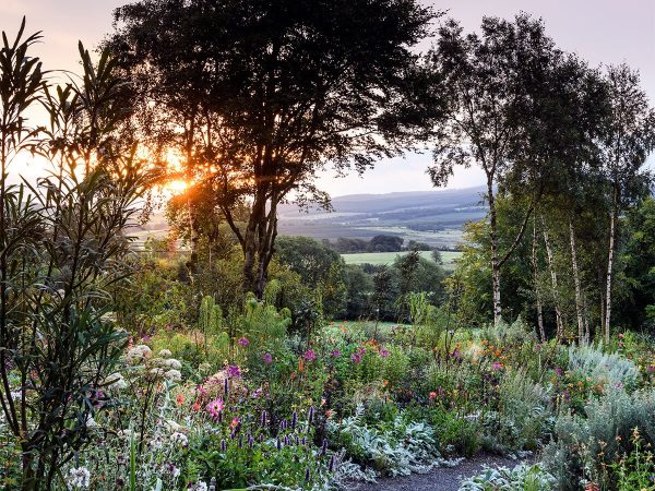 Hunting Brook Garden 1