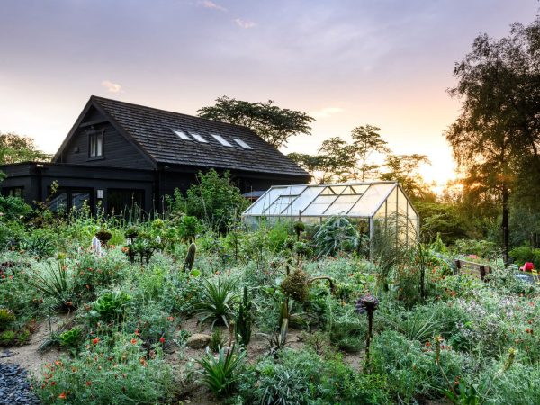 Hunting Brook Garden 2