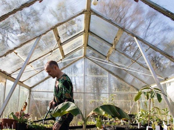 Hunting Brook Garden 6