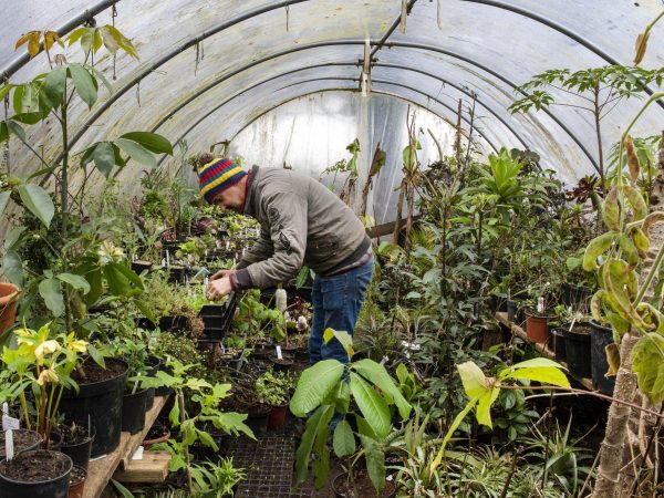 Hunting Brook Garden 7