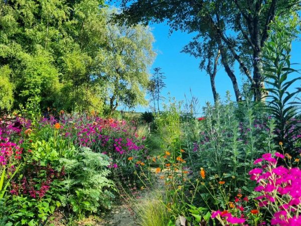 Hunting Brook Garden 8