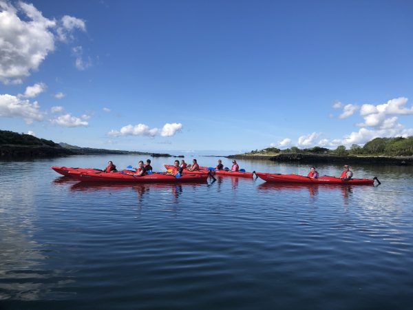 IMG 7899 5