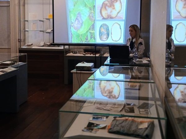 Jackie Clarke Collection 10