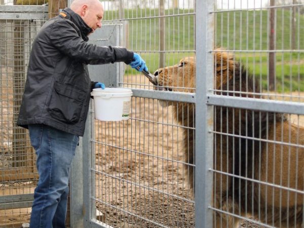 Jimmys Farm Wildlife Park 13