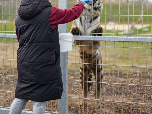 Jimmys Farm Wildlife Park 14